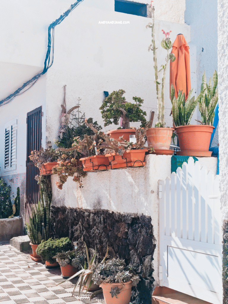 A sunlit white building with a white gate, adorned with various potted plants and an orange umbrella, showcases a charming outdoor space.